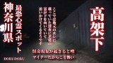 【心霊LIVE】Ghost Live 神奈川県最恐心霊スポット 老婆の霊が居る高架下