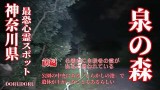 【心霊LIVE】Ghost Live 神奈川県最恐心霊スポット 泉の森前編