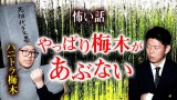 【ハニトラ梅木】やっぱり梅木があぶないっ！『島田秀平のお怪談巡り』