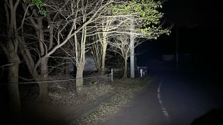 【心霊ライブ】Ghost Live 最恐心霊スポット