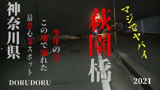 超怖い心霊 Ghost Live 神奈川県最恐心霊スポット 萩園橋
