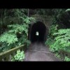 【心霊 雨の中の心霊トンネル】超怖い心霊 Ghost Live Distribution 写真を撮ると心霊写真が撮れるトンネル編
