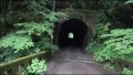 【心霊 雨の中の心霊トンネル】超怖い心霊 Ghost Live Distribution 写真を撮ると心霊写真が撮れるトンネル編