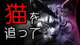 「猫を追って」都市伝説・怖い話・怪談朗読シリーズ