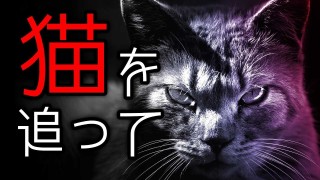 「猫を追って」都市伝説・怖い話・怪談朗読シリーズ