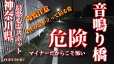 【心霊LIVE動画 閲覧注意】神奈川県のマイナー編 親子の霊が目撃される音鳴り橋