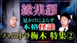 【総集編94分】ハニトラ梅木特集２『島田秀平のお怪談巡り』