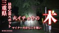 【心霊LIVE動画 閲覧注意】 三重県最恐心霊スポット 呪われた大イチョウの木