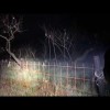 [ツイキャス] ライブ 超怖い心霊 ghost live 和歌山最恐心霊スポット
