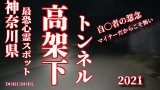 【心霊LIVE動画 閲覧注意】 神奈川県最恐心霊スポット 高架下トンネル