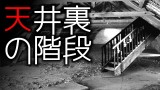 「天井裏の階段」都市伝説・怖い話・怪談朗読シリーズ